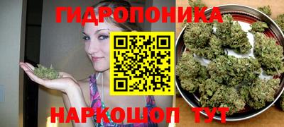 гидропоника Шахты