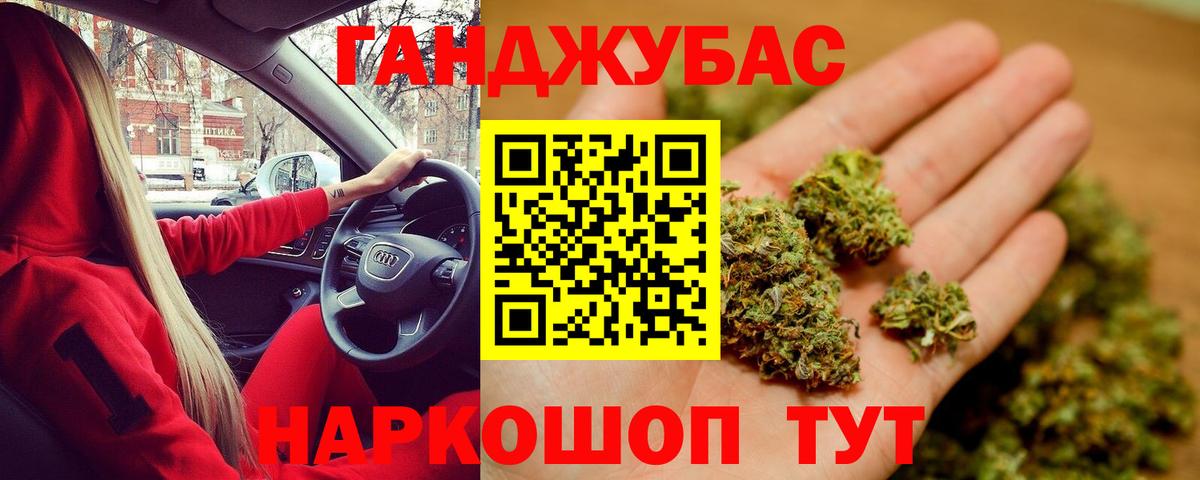 Шишки марихуана марихуана Будённовск